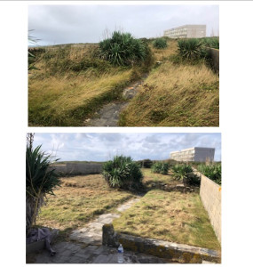 Photo de galerie - Entretien de jardin