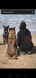 Photo de galerie - Garde chien