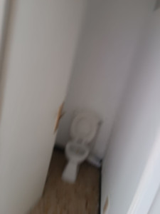 Photo de galerie - Pose fibre peinture toilette et petit couloir