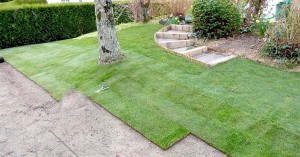 Photo de galerie - Paysagiste - Aménagement du jardin