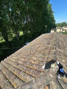 Photo de galerie - Nettoyage toiture 