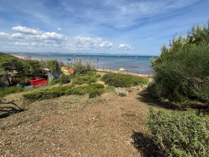 Photo de galerie - Tondeuse débroussailleuse