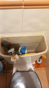 Photo de galerie - Avant...