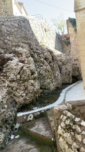 Photo de galerie - Paysagiste - Aménagement du jardin