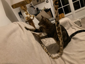 Photo de galerie - Petite séance récréative