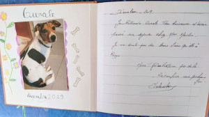 Photo de galerie - Garde chien