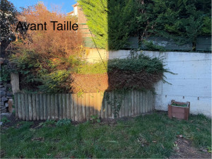 Photo de galerie - Taille & enlèvement d’arbuste 