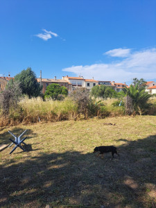 Photo de galerie - Jardinier