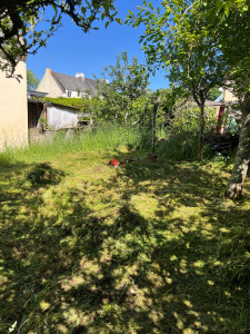 Photo de galerie - Tonte de pelouse - Débroussaillage