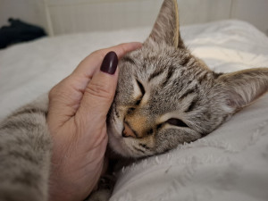 Photo de galerie - Tara, ma petite minette chérie 