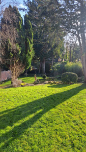 Photo de galerie - Entretien régulier où occasionnel 