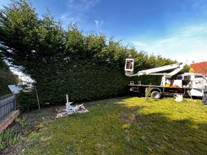 Photo de galerie - Jardin / Espace vert