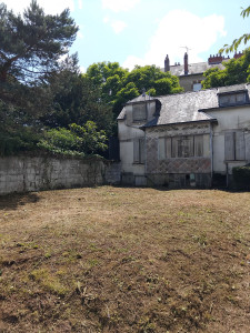 Photo de galerie - Tonte de pelouse - Débroussaillage