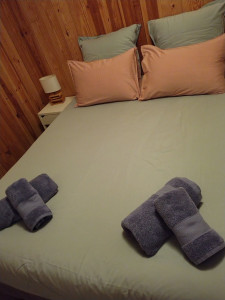 Photo de galerie - Nickel