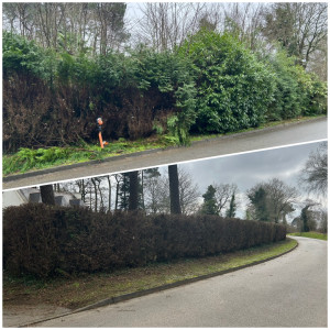 Photo de galerie - Rabattage 