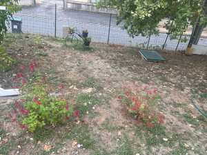 Photo de galerie - Paysagiste - Aménagement du jardin