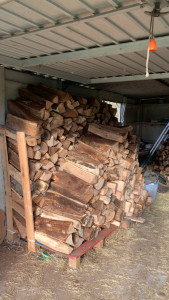 Photo de galerie - Aide à domicile