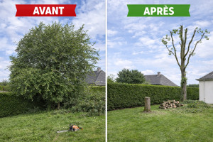 Photo de galerie - Je vous propose mes services d’élagage abattage