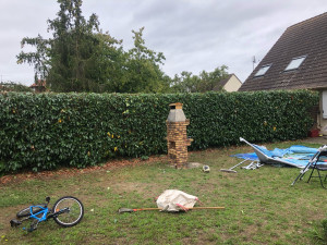 Photo de galerie - Taille de haies et d'arbustes