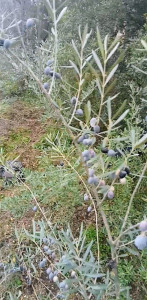 Photo de galerie - Jardinier