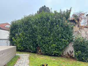 Photo de galerie - Avant 