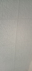Photo de galerie - Plaque de polystyrène au plafond