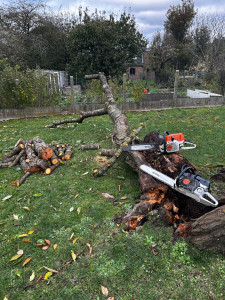Photo de galerie - Façonnage d’un arbre tomber à cause de la tempête !