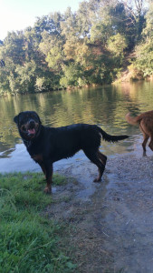 Photo de galerie - Journée baignade cet été ??