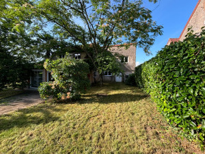 Photo de galerie - Tonte de pelouse - Débroussaillage