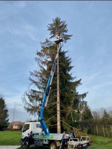 Photo de galerie - élagage et coupe d’arbres