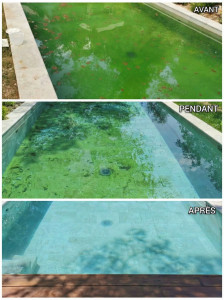 Photo de galerie - Entretien piscine