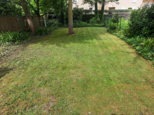 Photo de galerie - Tonte debrousaillage 