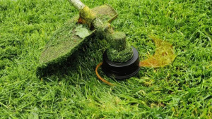 Photo de galerie - Jardin / Espace vert