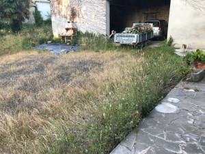 Photo de galerie - Tonte de pelouse - Débroussaillage