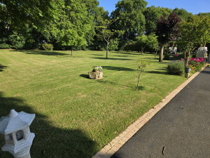Photo de galerie - Entretien d'un grand jardin 