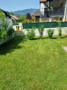 Photo de galerie - Tonte de pelouse - Débroussaillage