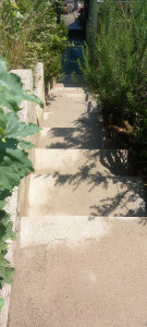 Photo de galerie - Nettoyage de marche d'escalier