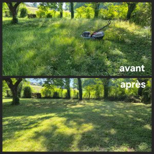 Photo de galerie - Remise en état d'un terrain (tonte, Ramassage et Évacuation des végétaux, finition au souffleur)