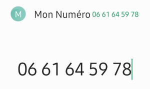 Photo de galerie - •peinture
•montage de meubles
•pose luminaire, prise électrique,etc
•petit bricolage 
•entretien espace vert

 