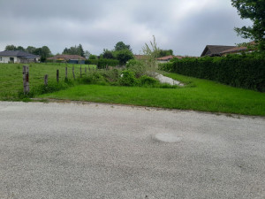 Photo de galerie - Tonte de pelouse - Débroussaillage