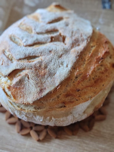 Photo de galerie - Pain 