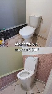 Photo de galerie - Remplacement de WC