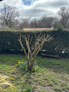 Photo de galerie - Jardinier