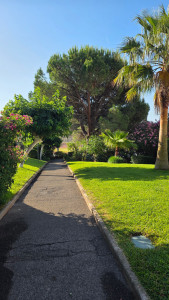 Photo de galerie - Jardinier