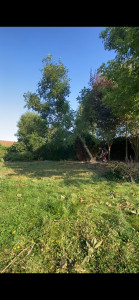 Photo de galerie - Elagage d’arbre gênant pour l’implantation d’une habitation.