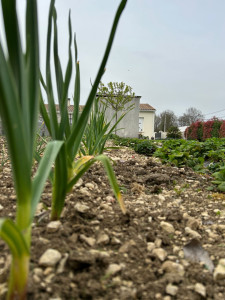 Photo de galerie - Jardinier