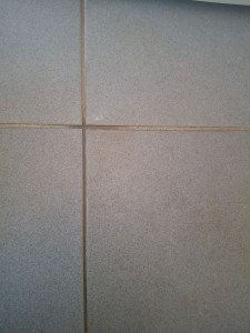 Photo de galerie -  avant nettoyage joints