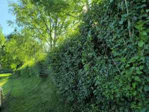 Photo de galerie - L'avant 