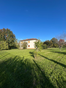 Photo de galerie - Tonte de pelouse - Débroussaillage