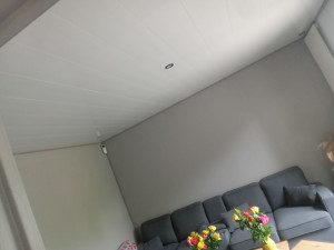 Photo de galerie - Mur et plafond 





